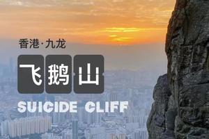 【香港徒步】香港飞鹅山徒步，登九龙之颠俯瞰香港城市全景一天活动
