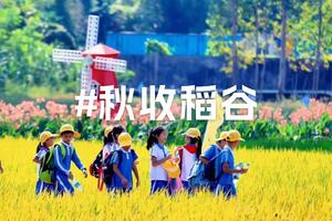 【周末游】拾趣时光忆童年--割稻谷、挖红薯、网红小火车、赶海戏水、大鹏古城寻古访幽一天