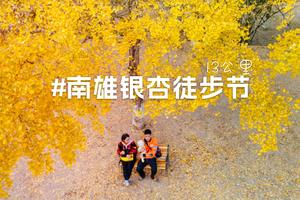 【11.18-19】2023年第一届南雄帽子峰银杏13公里徒步节火热报名中