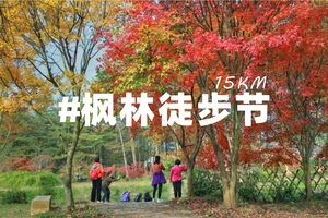 12.2第三届佛冈田野绿世界枫林徒步节,体验行走力量，感受自然呼吸！