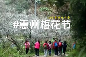 01月14日第三届惠州梅花节18公里徒步活动-走进革命老区，寻访红色记忆