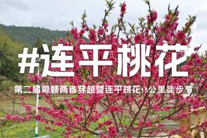 3月2日第二届粤赣两省穿越暨连平桃花15公里徒步节