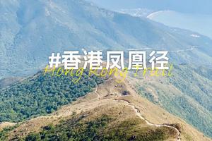 探索香港：徒步凤凰径、攀登凤凰山、参观天坛大佛、漫游威尼斯大澳村