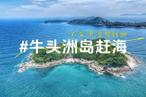 6月23日牛头洲荒岛探险：浮潜探秘、赶海拾趣、尽享海鲜盛宴一日游