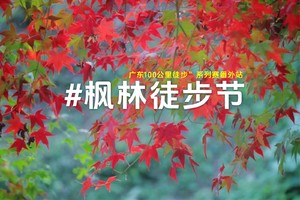 12月22日第四届佛冈田野绿世界枫林徒步节，体验行走力量，感受自然呼吸！