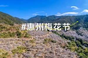 01月05日“与梅相约”第四届惠州梅花节20公里徒步火热报名中