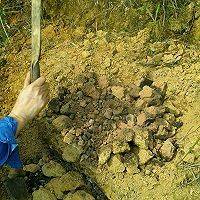 窑红薯__儿时回忆的做法图解6