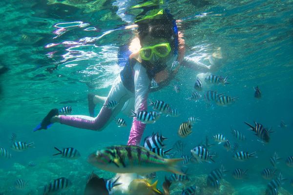 7月29~30日出海潜水，惠州“马尔代夫”足迹岛、浮潜、BBQ、数星星（可住岛上酒店或帐篷）