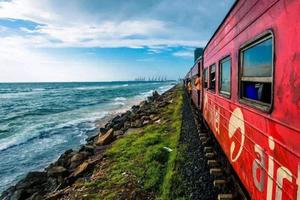 【情迷斯里兰卡】12.15印度洋上的明珠-斯里兰卡风情之旅