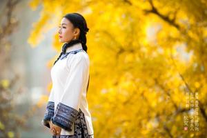 【指南村美秋】11月25日（周日140元含午餐）徒步临川古道，赏指南村红枫与银杏美景休闲摄影游