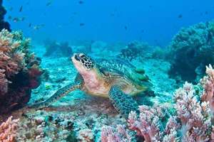 菲律宾：宿务在左，薄荷在右 | 一个被上帝宠坏了的地方！