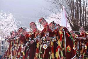 【林芝桃花】3月30日-7日错过了林芝，就错过了中国最美的春天！