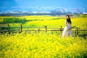 【春天花事】21-22日（非周末）美婺源赏梯田花海，老桥古塔，巨樟环水，隐秘小众最美乡村田园景