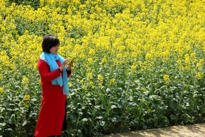 【春天花事】3月23-24日跟着阳光去中国最美乡村婺源，观无边花海月亮湾，庆源古道徒步2日（赏花专线）
