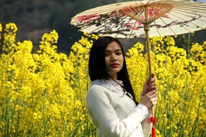 阳光【春到徽州】3月18-19日阳春三月船渡新安江山水画廊，花海轻徙步，最美石潭古村，邂逅阳产土楼，夜游徽州古城