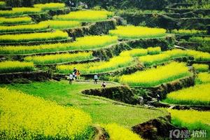 「陌上花开」 3月21日（非周末）春暖花开，去覆卮山赏樱花攀石浪，观万亩梯田油菜花海！