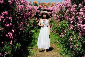 【阳光户外120】5月3日美！这个周末数百亩玫瑰花园已盛放，新沙岛变成“爱情岛”，有摄影哥跟拍