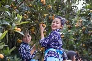 果园采摘 | 5月25日采摘新安江三潭枇杷，游古徽州阳产土楼