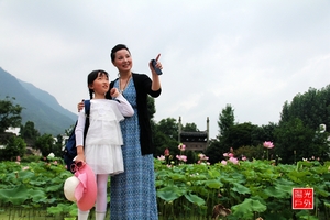 【阳光亲子游】7月14日建德里叶村十里荷花盛放，爸爸去哪儿新叶古村一日游