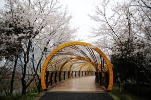 夜走@每周二、四夜萧山北塘河公园阳光户外健身徙步