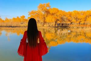 秋色@10月8日额济纳胡杨林-巴丹吉林沙漠-黑城遗址-怪树林-居延海-金塔胡杨林-黄河石林-武威雷台汉墓 7日金秋时节