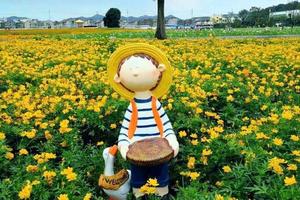 周游@【打卡新昌网红地】7月27日花海+爱情谷+高空玻璃滑道，摇摆桥一日游A