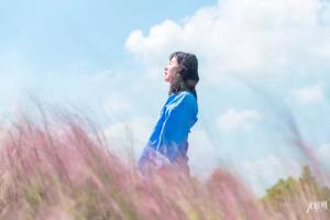 杭州湾大片粉黛惊艳开放！醉蝶、向日葵、百日草，海上花田撩爆你的少女心！（赠送30元烧烤和水上游船）