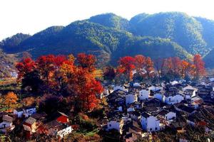 【婺源秋色】11月16-17日行摄婺源最美石城、长溪古村、菊径圆村、十里红枫古道徙步二日游