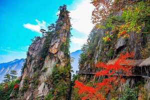 【大明山美秋】11月2日体验悬空栈道，百丈飞瀑，万米岩洞一日游