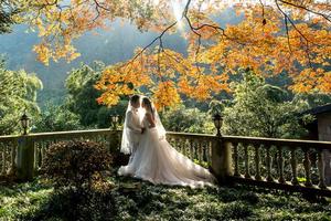 特价含门票158【秋行莫干山】11月17日浙江小庐山，重走蒋公道，行走森林氧吧，莫干山古道徒步