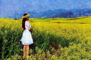 【阳光 ▪ 云南春天 油菜花季】元阳梯田.普者黑.碧色寨.罗平油菜花.九龙瀑布.建水古城 花开季节 彩云之南深度7日慢游