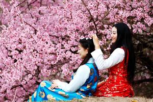 【阳光 ▪大美林芝 大美然乌】3月30-5日冰雪包裹的桃花才是中国最美的春天