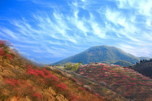 特惠98元【阳光 ▪ 初春探梅】2月22日（周六）十里梅花香雪海，赏安吉杭垓梅花沟休闲摄影一日游