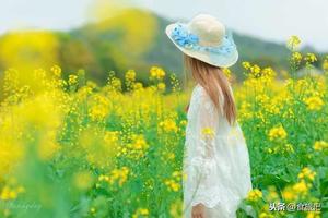 【会员特价78元 | 胥岭春色】3月27日（周六）徒步人间仙境—建德胥岭油菜花摄影一日游