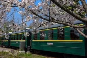 免费：今日周日14点杭州白塔公园绿皮火车文艺拍摄