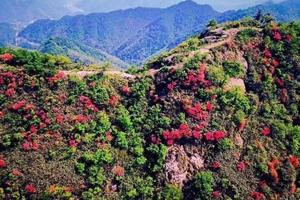 免费【阳光 | 萧富古道】4月6日徙步萧富古道，探秘老鹰石映山红花开自驾车行