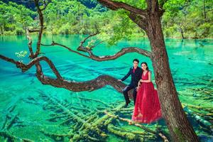 【阳光 | 成都和九寨】五一节踩线价1990元九寨沟 黄龙 薰衣草花海 大熊猫基地 锦里 老茶馆 打卡成都 懒人悠闲5日