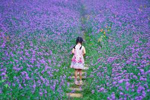 【阳光 | 花季行】5月24日普罗旺斯薰衣草开花了！ 太美了！打卡“跑男”拍摄地“佛堂”古镇！