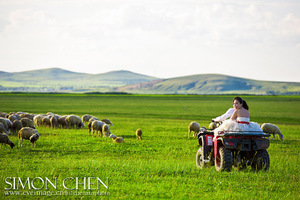 【阳光 | 坝上草原特惠2080】暑期策马扬鞭内蒙坝上草原狼图腾、金莲花盛开、古北野长城五日休闲摄影之旅