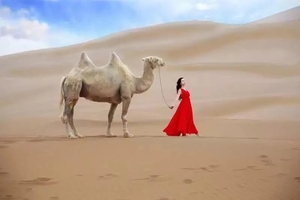 大美新疆，从北疆到南疆，天山南北环线23天深度精华自由行