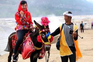 已成团【阳光 | 黄土高坡7日行】8月8-14日人说山西好风光-荞麦花海、壶口瀑布、波浪谷、雨岔大峡谷7日游