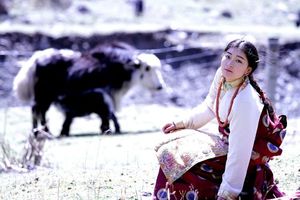 【阳光 | 10天10晚自驾318国道】稻城亚丁 然乌湖 米堆冰川 林芝 怒江 拉萨从稻城亚丁到圣城拉萨最美人文景观大道