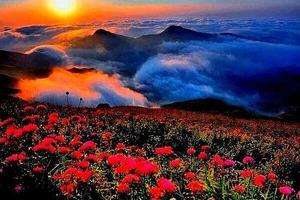 【阳光 | 花季贵州】遇见-漫步天上花海 探访神秘长角苗之乡 马岭河 万峰林 黄果树瀑布