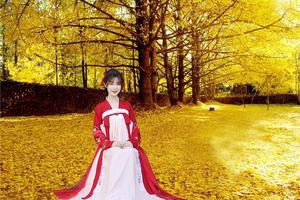 8天7晚！腾冲银杏村︱隐匿在滇西南边陲的秋色，金色童话天堂！