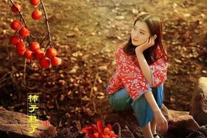 130元【阳光|徽州晒秋】11.1徒步摄影徽州最美高山村落--姬公尖，赏徽州最闪耀的晒秋“灯笼柿” 