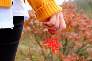 108元【阳光|栖霞红枫】11.22徒步栖霞坑古道，赏四明山红枫--重走唐诗之路 