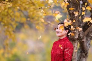 118元【阳光|秋到云山村】11月21日深秋千亩银杏正当时，带你去磐安看最美银杏海