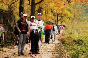 新加线路【阳光│黄南古道】12月6日轻装徒步一日游，老树昏鸦，秋风梯田，醉人红叶，黄南古道摄影行！