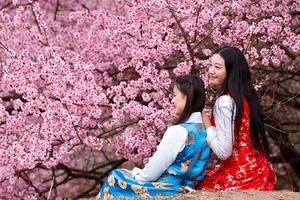 【阳光 | 林芝桃花8日】一生一定要去一次西藏，看这个星球最美的雪山桃花