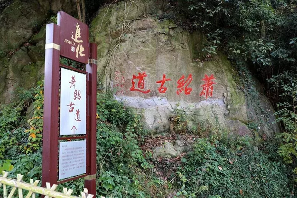 包车费用AA活动【阳光 | 五一打卡萧绍古道】萧山境内最美古道之一，山花烂漫，青青竹林，徒步萧绍古道环线行